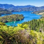 Queen Charlotte Track: Cruise & Self-Guided Hike from Picton - Authentic Experiences from Past Travelers