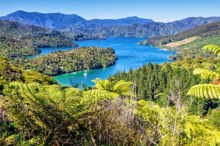 Queen Charlotte Track: Cruise & Self-Guided Hike from Picton - Authentic Experiences from Past Travelers