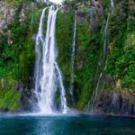 Queenstown: Milford Sound Private Tour - Practical Tips for the Tour