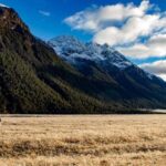 Queenstown to Te Anau via Milford Sound inc Cruise & Lunch - Transportation & Duration: Why it’s Worth It