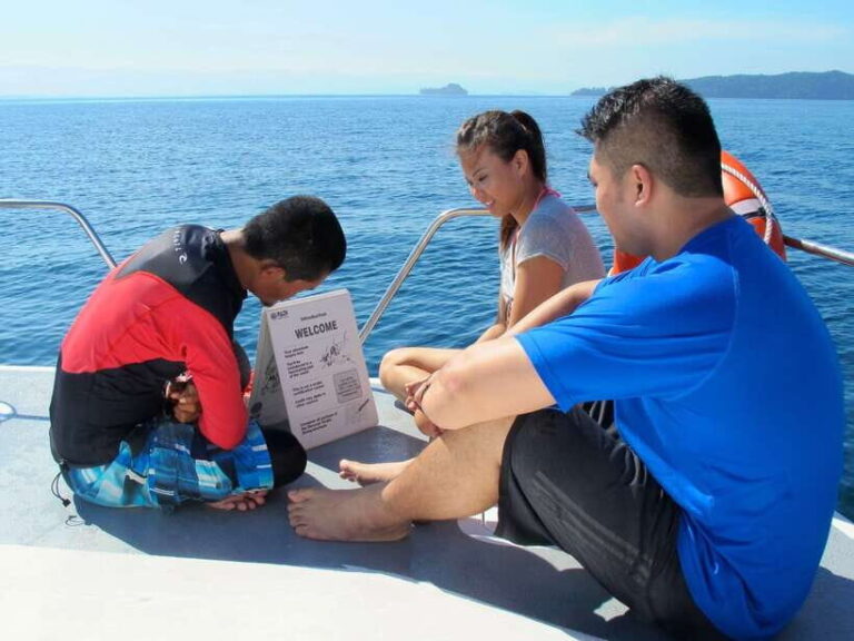 RAID Open Water 20 Diver Course 3-Days | Kota Kinabalu - What to Expect from the 3-Day RAID Open Water 20 Diver Course