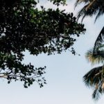 Rainforest Waterslide and Riverpool Beach Tour in Puerto Rico - Authentic Review Highlights