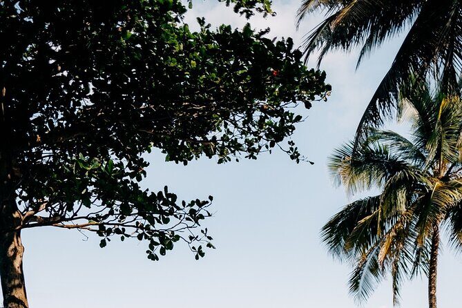 Rainforest Waterslide and Riverpool Beach Tour in Puerto Rico - Authentic Review Highlights