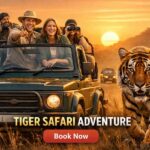 Ranthambore National Park Premium Jeep Safari with Guide - What Makes This Safari Stand Out?