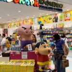 Recommend Korean PeoleOsaka: Anime Tour with a Local Guide - The Practicalities: What You Need to Know