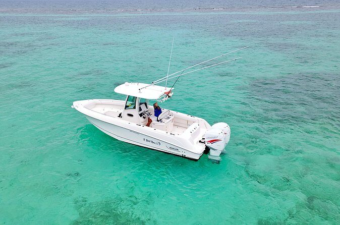 Reef Fishing Adventure Over Coral Reefs - The Practical Details