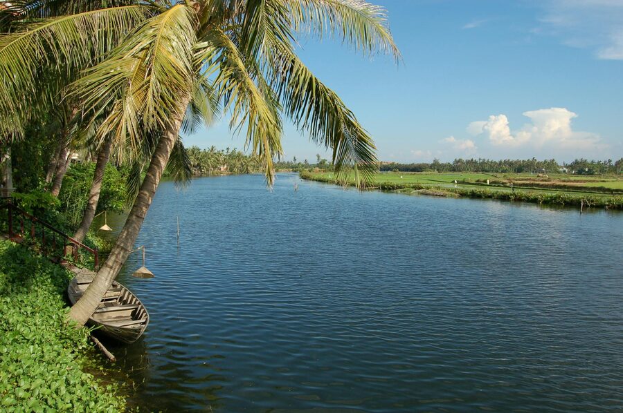 River scene with boat and palm trees in Vietnam