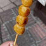 Roam Takayama - 'Pay as you Wish' Walking Tour - The Sum Up