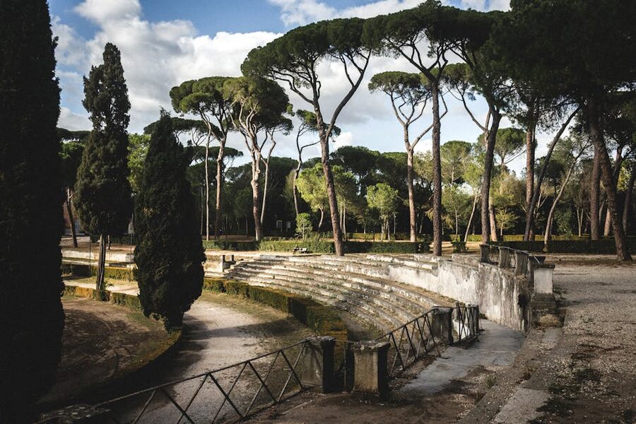 Italian pine trees in ancient Roman park Rome