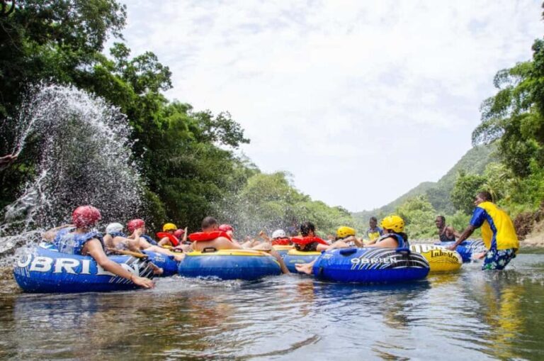 Roseau: Wacky River Tubing Safari - Why This Tour Offers Good Value