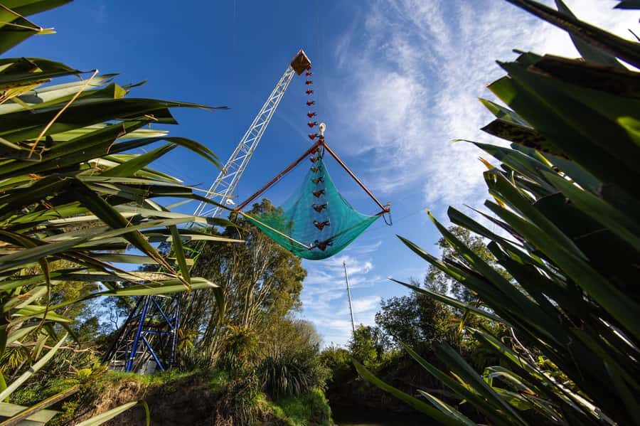 Rotorua: Velocity Valley - NEW Vertigo 43m drop - What It Means for Your Trip