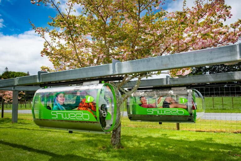 Rotorua: Velocity Valley - One Ride Pass - What to Expect on Arrival