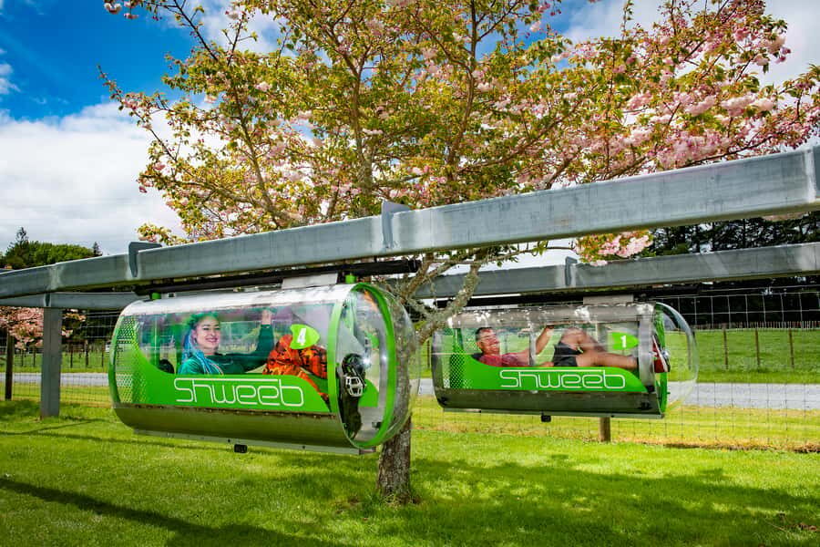 Rotorua: Velocity Valley - One Ride Pass - What to Expect on Arrival