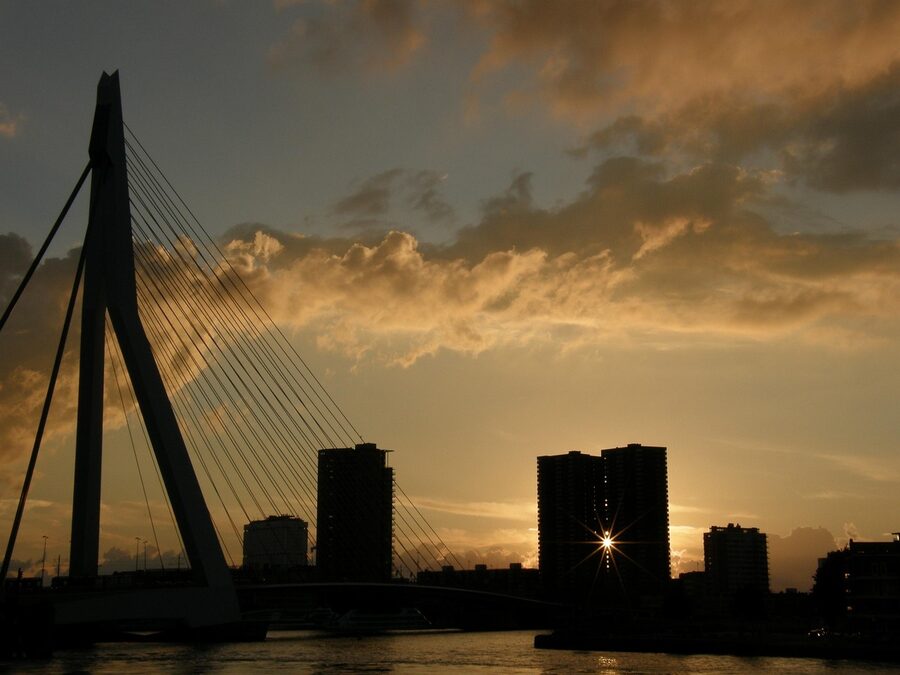 Rotterdam Erasmus Bridge with port view
