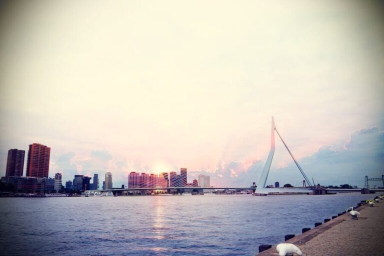 Rotterdam Harbour with Spido, Since 1919