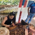 Safari Adventure From Punta Cana with Hotel Pickup - The Sum Up