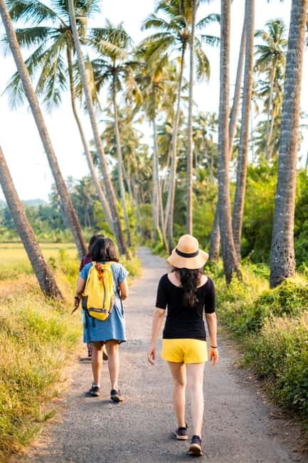 Saligao: Village Saunter through Saligao - Exploring the Village of Saligao: What to Expect