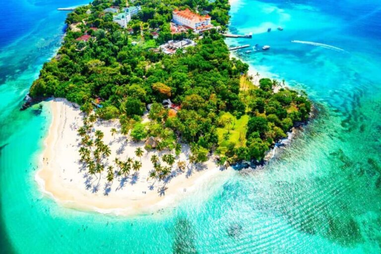 Samaná Bay Eco Whale Watching + Cayo Levantado & El Limón - Practical Insights & Tips