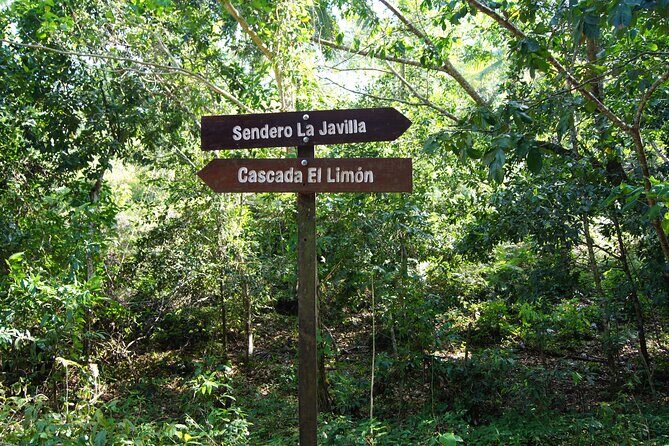 Samana City & El Limon Waterfall Small Group Full Day Shared Tour - Transportation & Group Size: Why It Matters