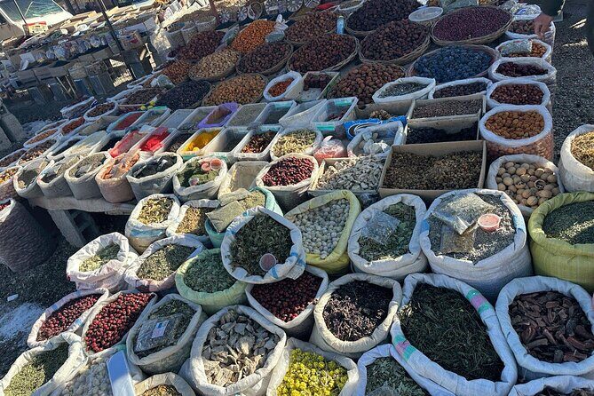 Samarkand Day Trip from Tashkent - Why This Tour Offers Good Value