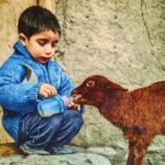 Samarkand Local Lifestyle & Food Experience - Visiting a Traditional Bakery (30 Minutes)