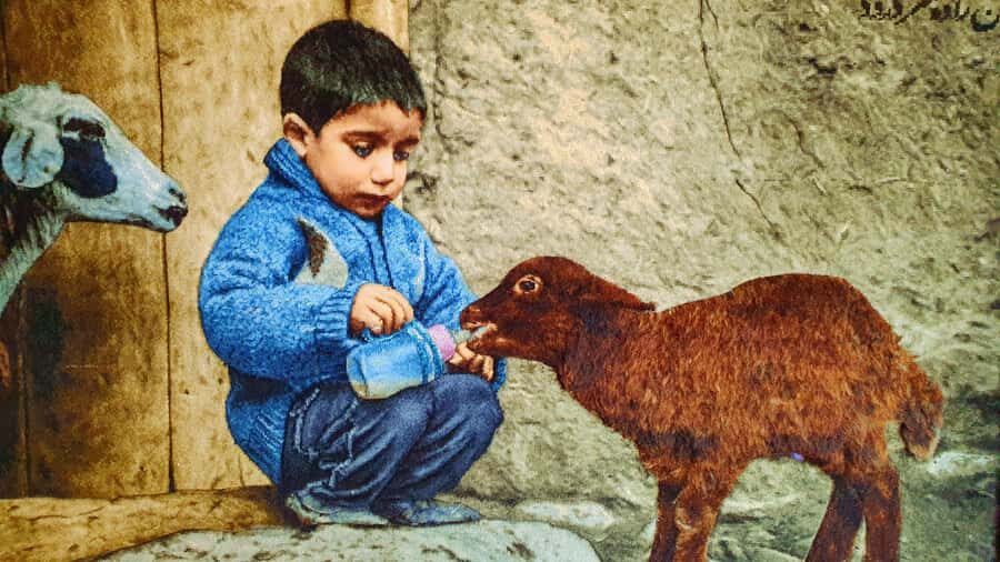 Samarkand Local Lifestyle & Food Experience - Visiting a Traditional Bakery (30 Minutes)