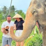Samui: Elephant Home Sanctuary and the first elephant museum - A Closer Look at the Experience