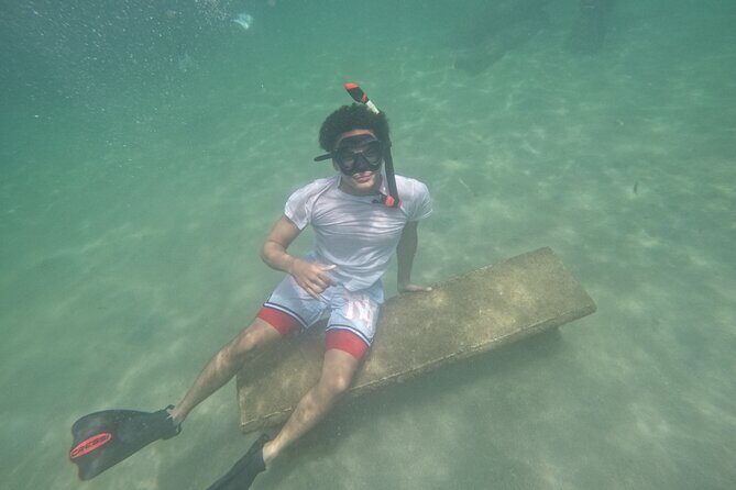 San Juan Turtle Spotting Snorkel Adventure with Videos - Who Will Love This Tour?  