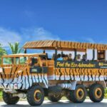 Santo Domingo: Higüey City Tour with Basilica & Market Visit - Practical Details and Insights