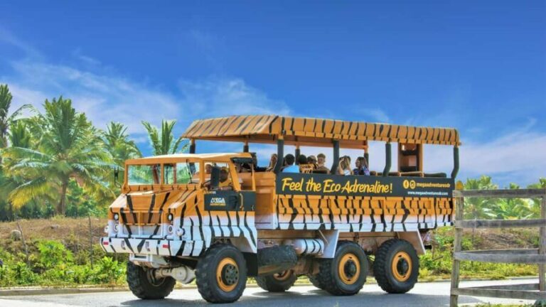 Santo Domingo: Higüey City Tour with Basilica & Market Visit - Practical Details and Insights  