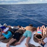 Saona Island Excursion by Catamaran and Speedboat (Full Day) - Authenticity and Atmosphere