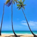 Saona Island Full-Day Cruise, Natural Pool and Lunch - Practical Details and What You Should Know