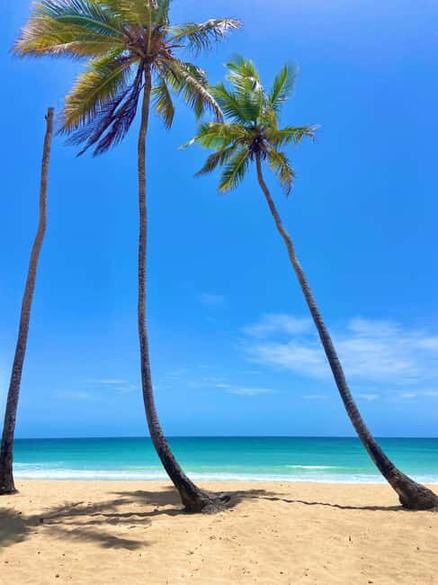 Saona Island Full-Day Cruise, Natural Pool and Lunch - Practical Details and What You Should Know