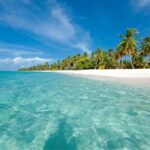 Saona Island Full-Day Tour from Punta Cana Bayahibe All Inclusive - Who Is This Tour Best For?