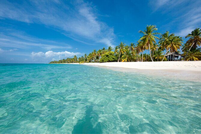 Saona Island Full-Day Tour from Punta Cana Bayahibe All Inclusive - Who Is This Tour Best For?