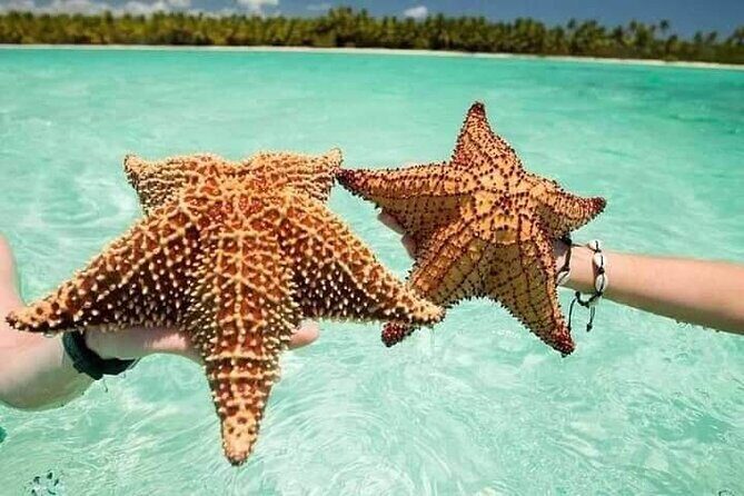 Saona Island Tour from Punta Cana All Inclusive - Pickup and Early Stops