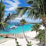 Saona Island Tour From Santo Domingo with Lunch, Open Bar, Pickup - The Excursion to the Natural Pool