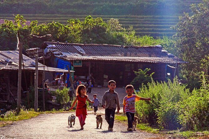 Sapa: Scenic Trek Through Majestic Rice Terraces & Rural Villages - What the Experience Feels Like