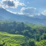 Sapa: Y Linh Ho, Lao Chai, and Ta Van Trekking Tour - What to Expect From the Tour