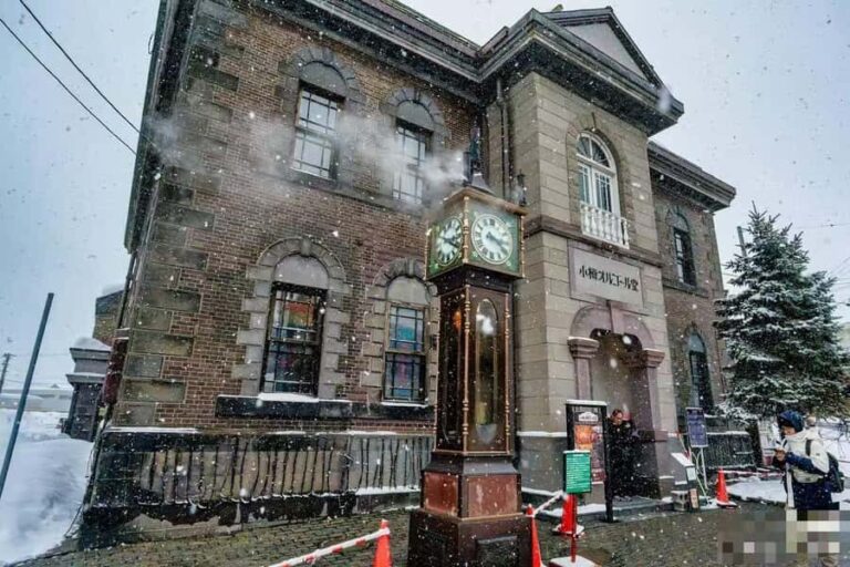 Sapporo: Otaru Day Trip-Mt. Tengu & Aquarium in small group - What Sets This Tour Apart?