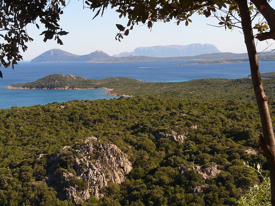 View across the Costa Smeralda toward Tavolara from the SP94 road