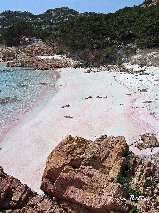 Spiaggia Rosa, the famous pink beach of Budelli island