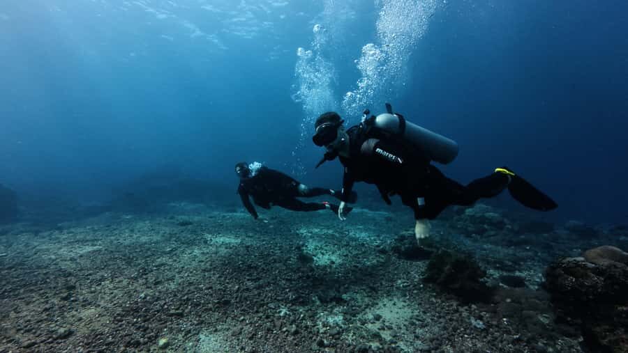 Scuba diving/snorkeling in Nusa Penida with manta rays - What to Expect from the Tour