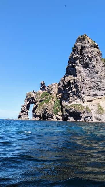 Sea Kayaking Tour - Otaru Coastal Adventure - The Practical Side: Logistics & Value