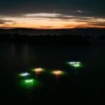 Seafood Sunset Paddle Tour on Lake Macquarie - The Sum Up