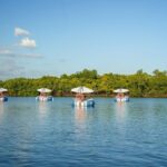 Self Drive BBQ eBoat Cruise with Onboard BBQ Denarau Fiji - Final Thoughts: Who Should Book This?