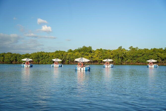 Self Drive BBQ eBoat Cruise with Onboard BBQ Denarau Fiji - Final Thoughts: Who Should Book This?