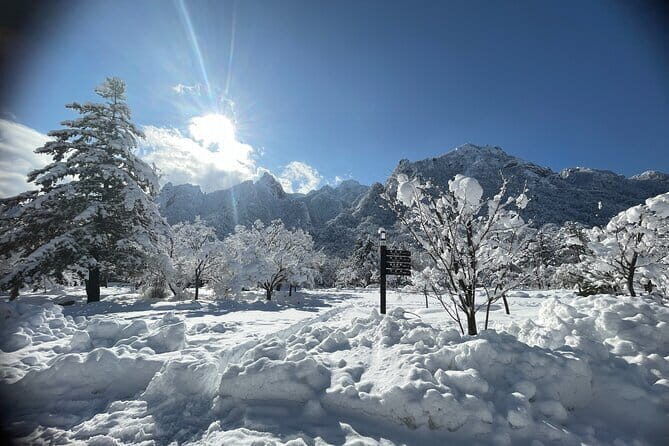 Seoraksan mt, Sokcho City, East DMZ Guided Tour - Who Should Consider This Tour?