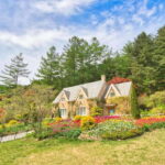 Seoul: Alpaca World and Nami Island (with Garden / Railbike) - An In-Depth Look at the Tour Experience