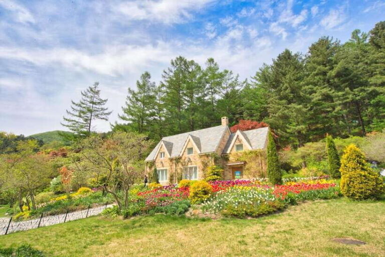 Seoul: Alpaca World and Nami Island (with Garden / Railbike) - An In-Depth Look at the Tour Experience